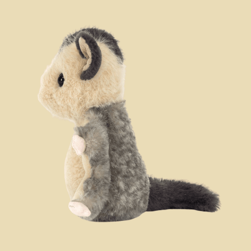 Lolly Sugar Glider