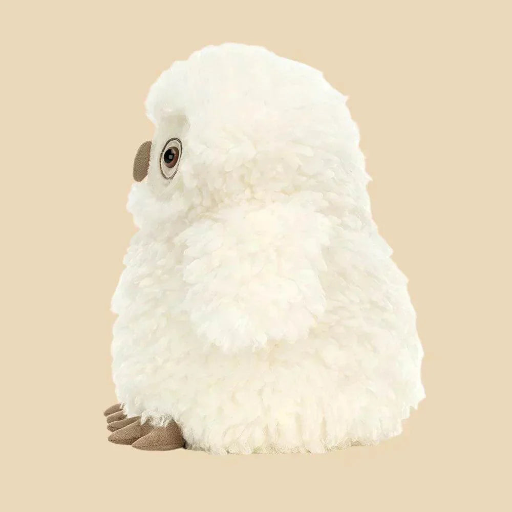 Apollo Owl
