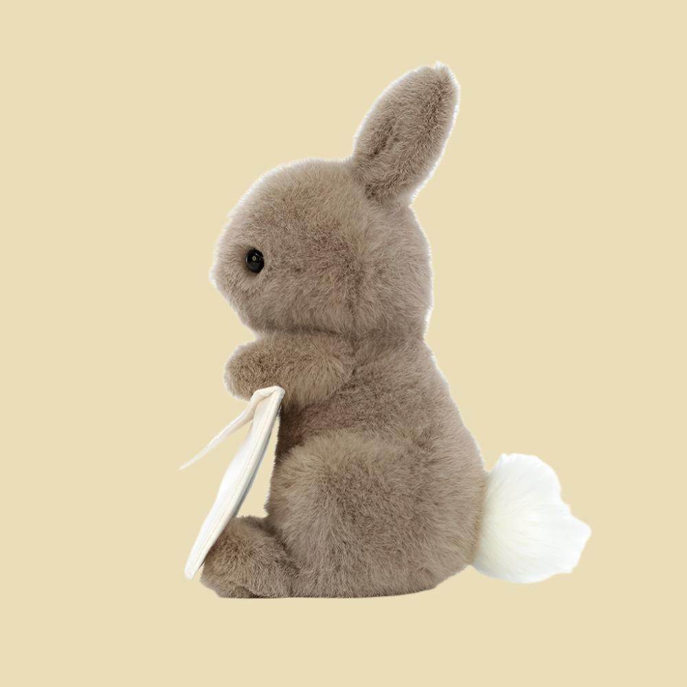 Messenger Bunny