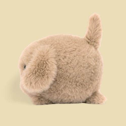 Caboodle Puppy