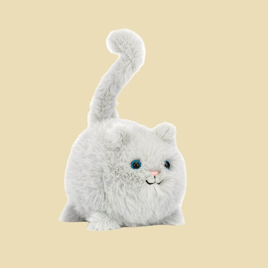 Kitten Caboodle