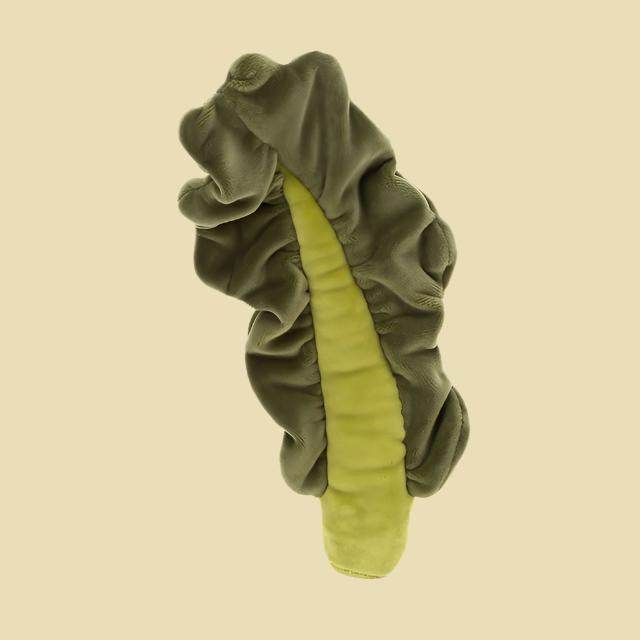 Vivacious Vegetable Kale Leaf