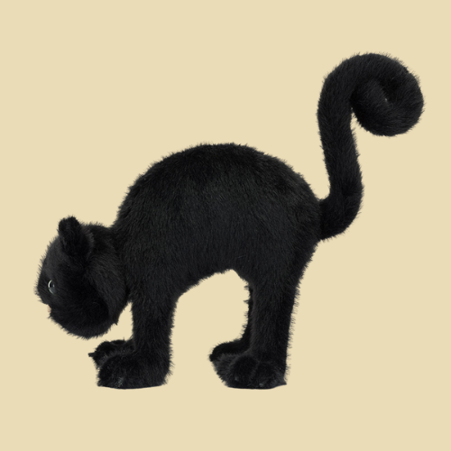 spookipaws-cat