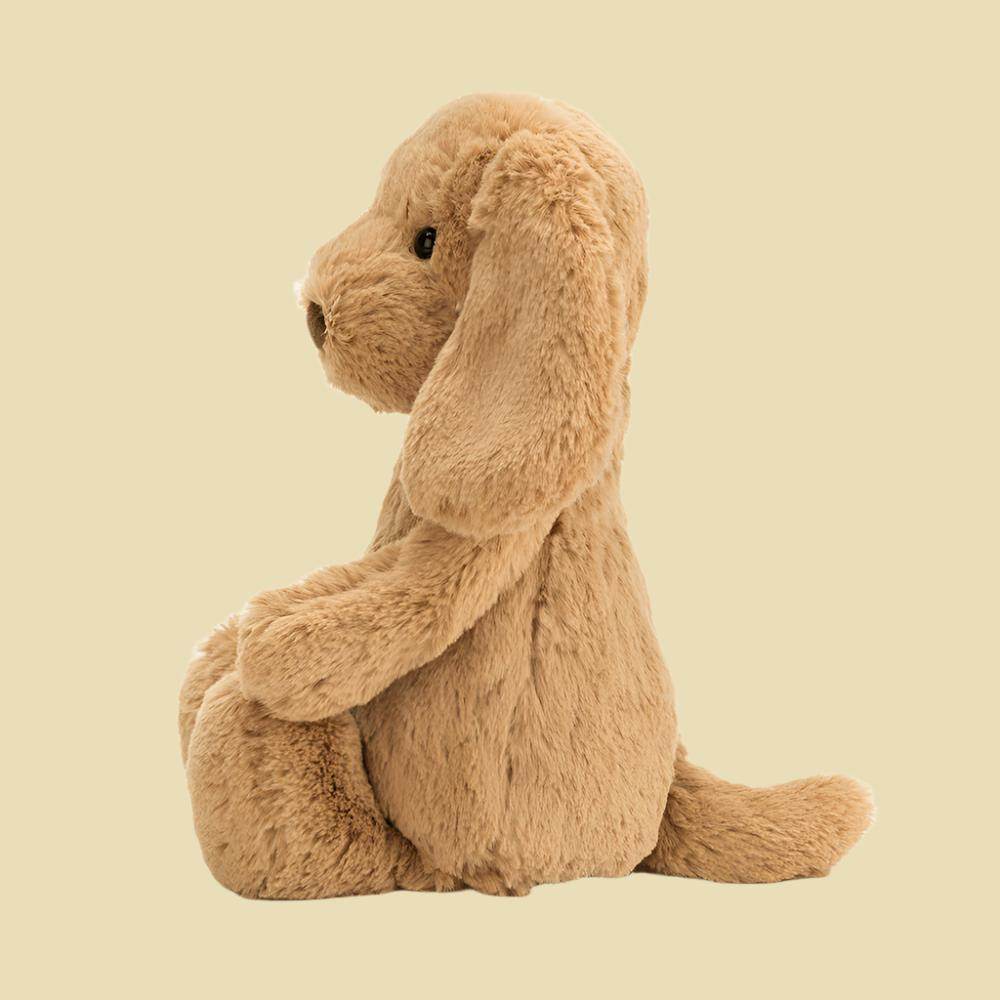 Bashful Toffee Puppy