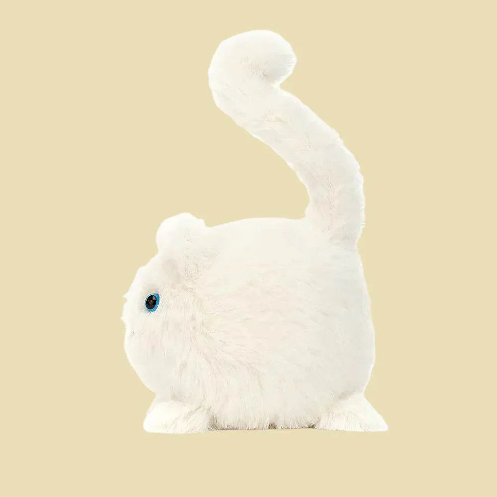 Kitten Caboodle-Cream